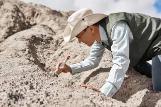 Man Paleontologist Archaeologist Cleans Find With Brush Desert