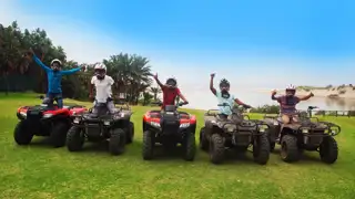 Wild Quad Bikes
