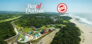 Wild Best Of Joburg2025 Web.Jpg.Sunimage.1136.550
