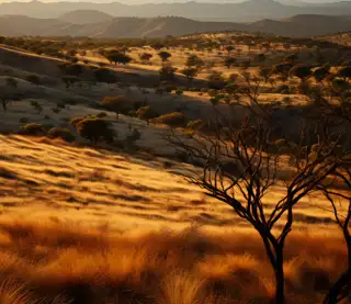 View Spectacular Nature Landscape