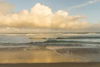 Wild Coast Beach Sunset NIC0646