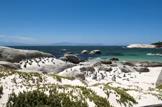Sa Western Cape 96338962