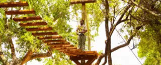 Sun City Chimp & Zee 53 1