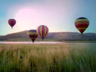 Sun City Pilanesberg National Park Hot Air Balloon Safari Signature