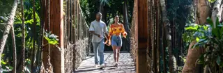 Sun City Cabanas Forest Couple Bridge