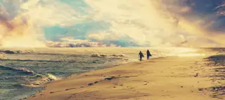 Beach Surfers 00428699