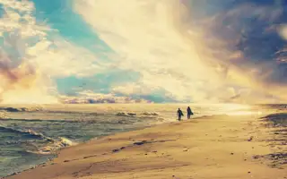 Beach Surfers 00428699