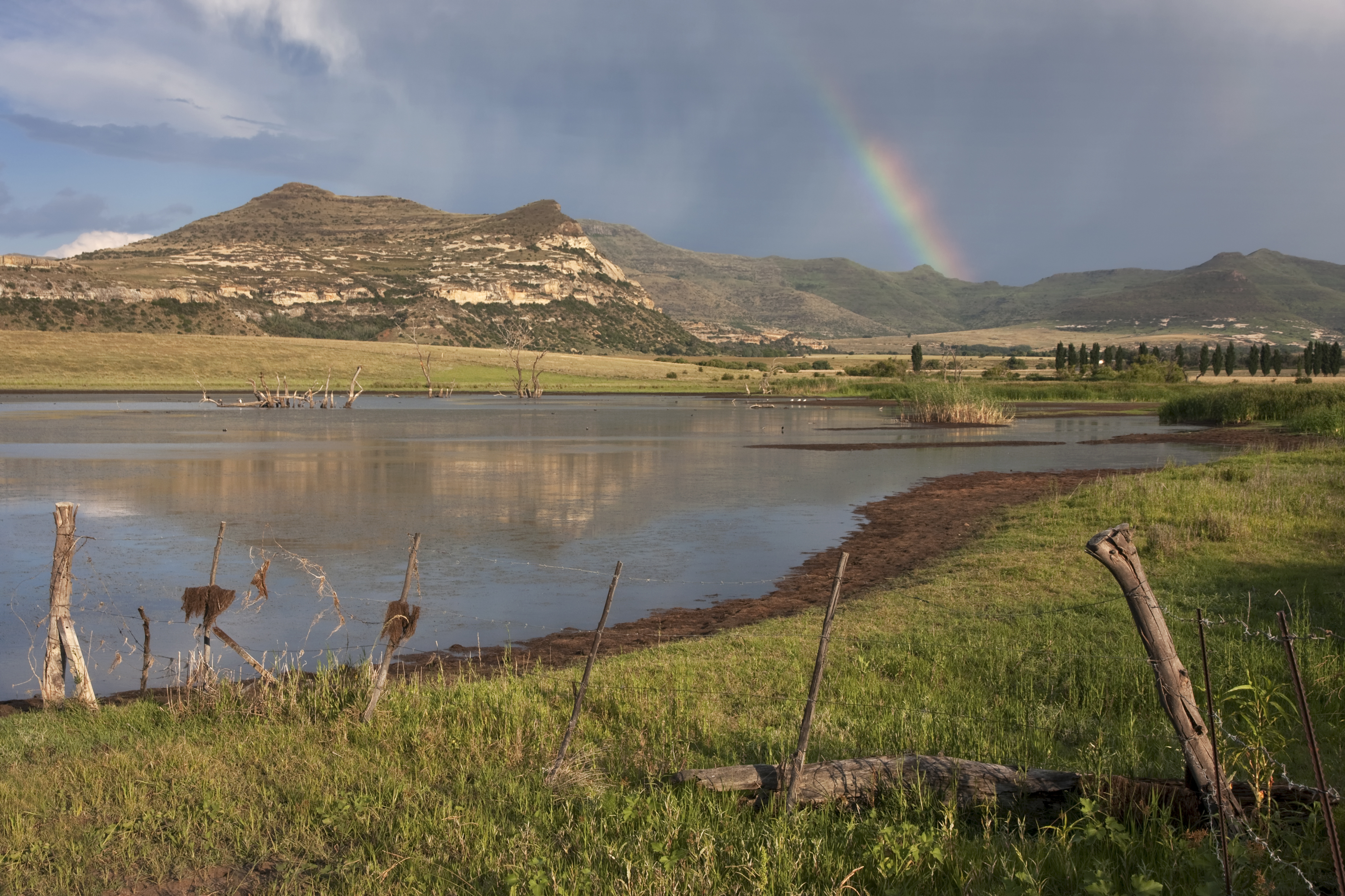 Free State Dam Rosendal