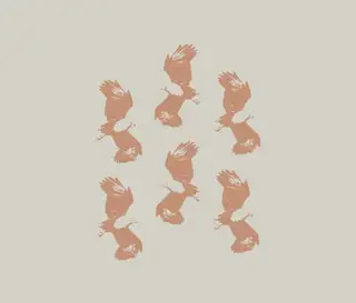 Svc Units Img Birds