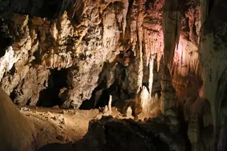 The Cradle Of Humankind