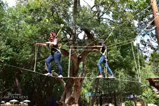 Wild Chimp Child Image 4