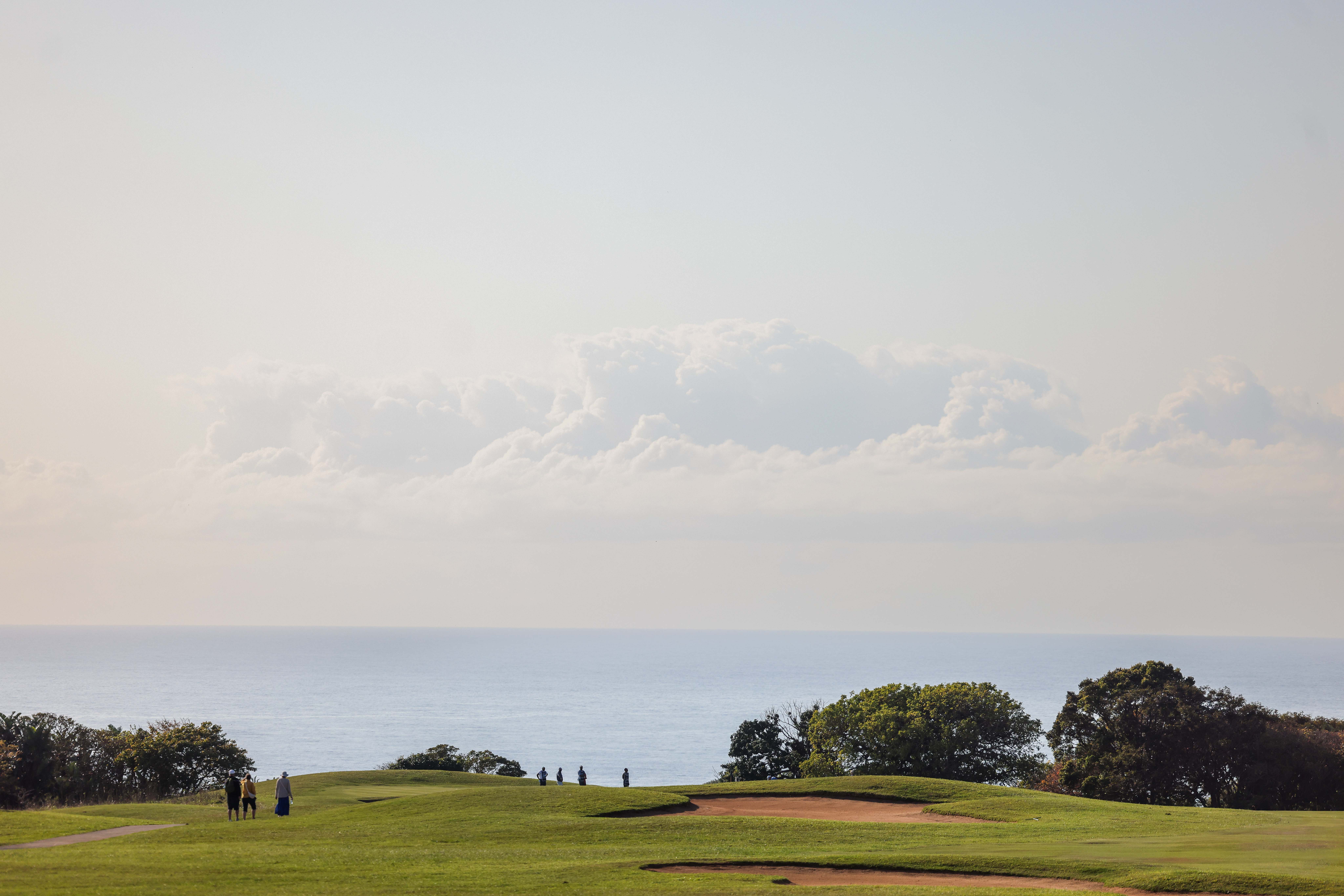 Wild Golf Hole 15