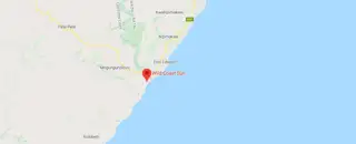 Wild Google Map Preview