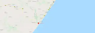 Wild Google Map Preview