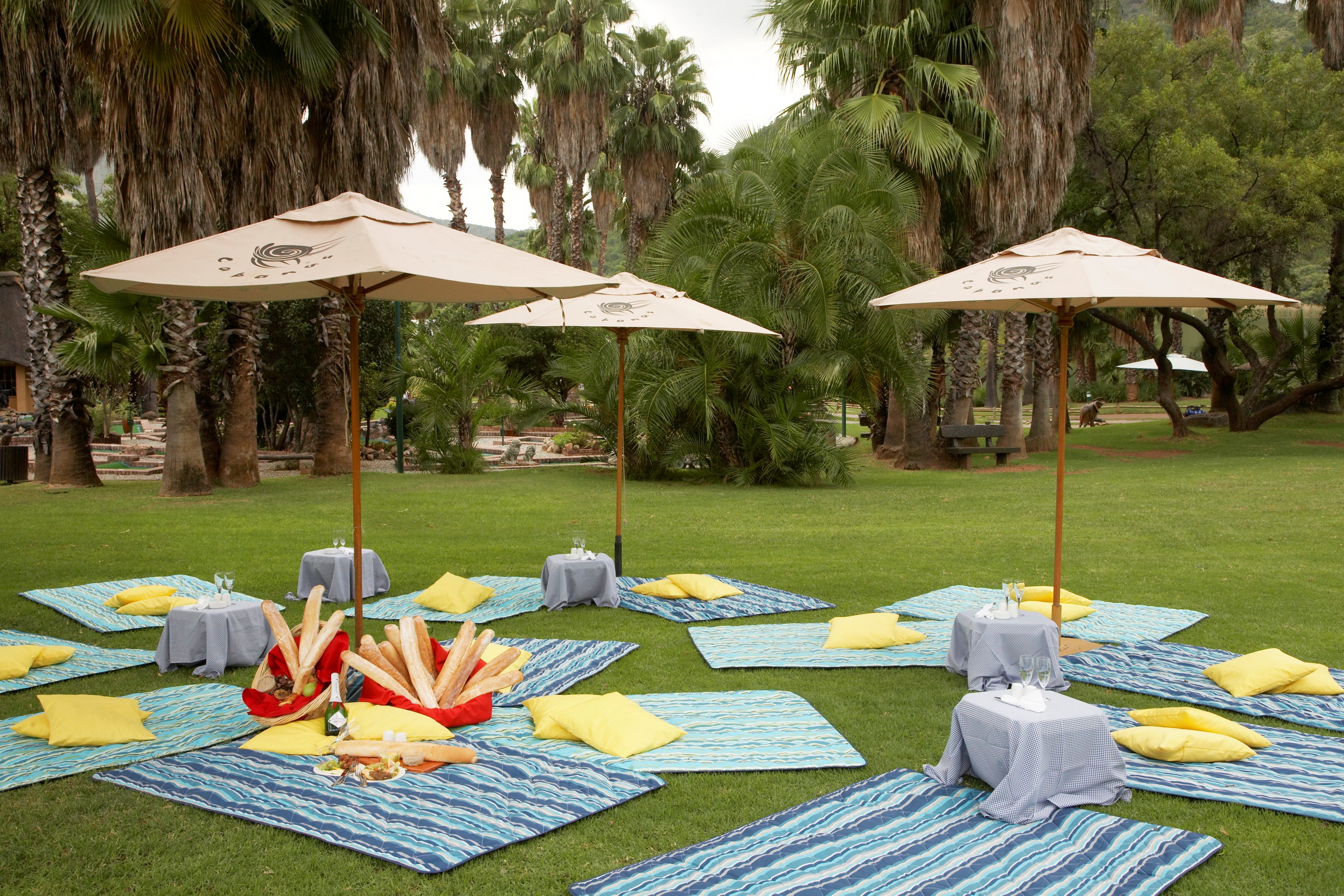 Sun City Conference Picnic Cabanas 1280