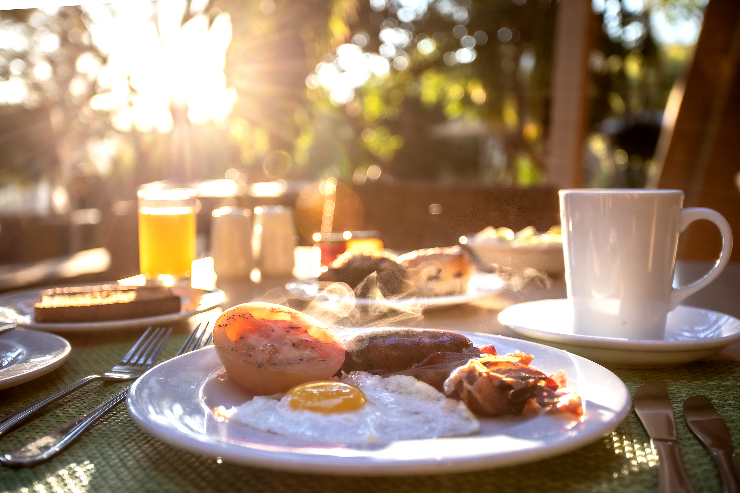 Sun City Hotel Daily Experiences