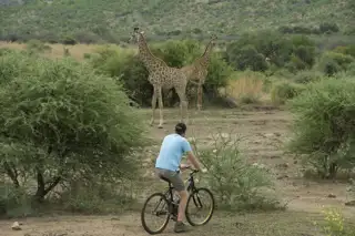 Sun City Mountain Biking Letsatsing Game Park Mankwe Gametrackers 01